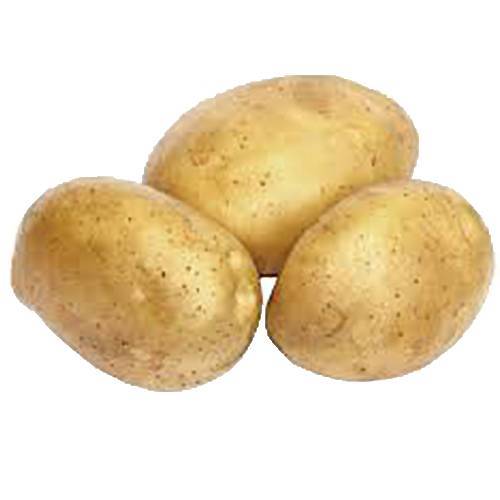 Bagekartofler 40 stk. a’ 375 gr. 1 Bagekartofler Danske 40 stk. a’ 375 gr.
