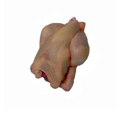 Udvalgte varer 6 Poussiner 500 gr.6 stk.