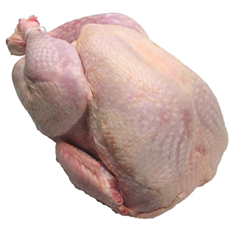 Fransk Landkalkun 3,2 kg. med indmad. 1 Fransk Landkalkun 3,2 kg. med indmad.