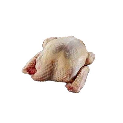 Tilbud 10 Perlehøne 1 stk. 1200 gr.