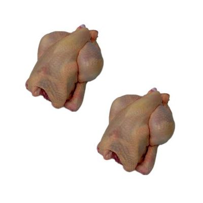 Udvalgte varer 9 Poussiner 500 gr. 12 stk.