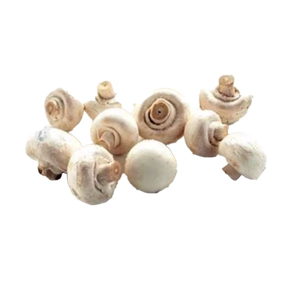 Champignon Rodskårne 2,5 kg. 1 Champignon Rodskårne 2,5 kg.