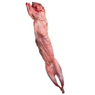 Kanin med hoved ca. 1400 gr.