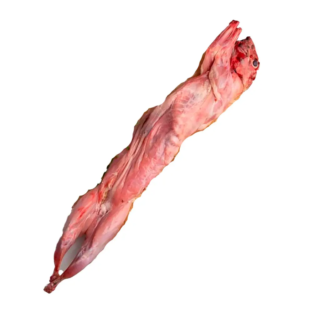 Kanin med hoved ca. 1500 gr.